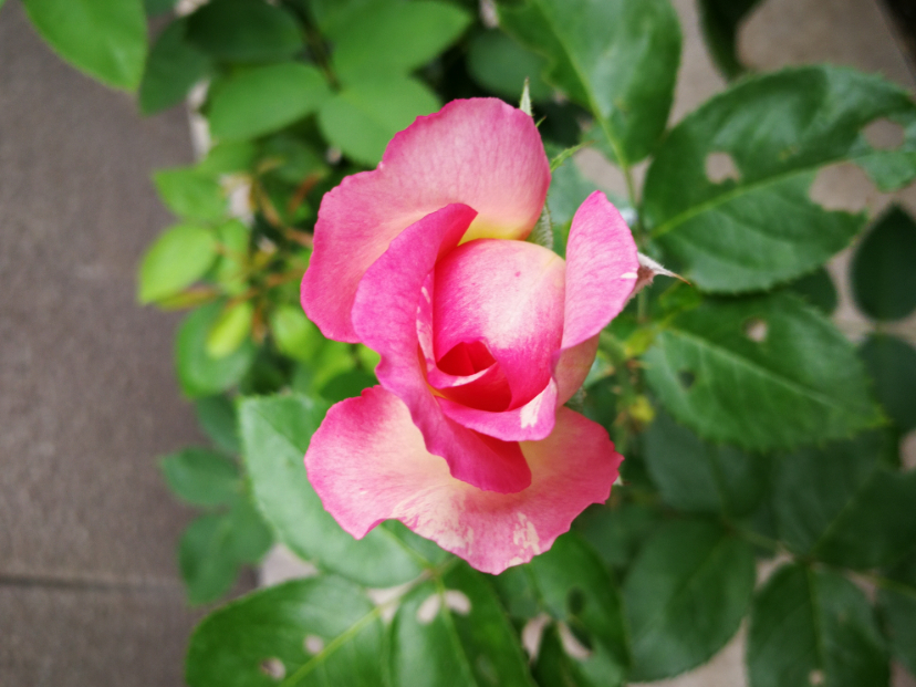 IMG_20210729_143409.jpg