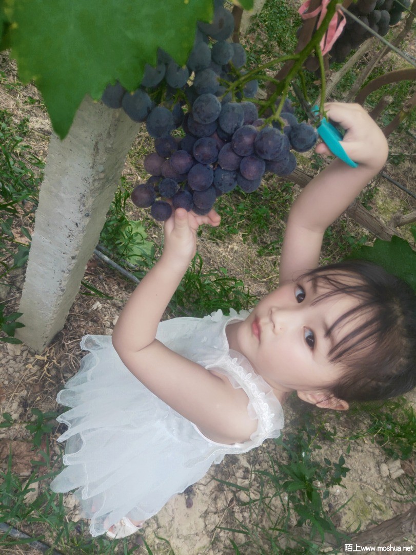 ΢��ͼƬ_20210730220517.jpg