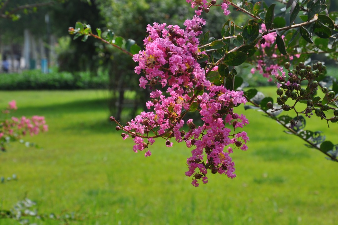 DSC_0379.JPG