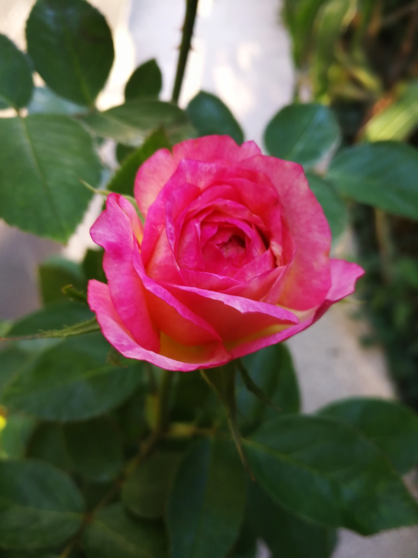 IMG_20210908_161542.jpg