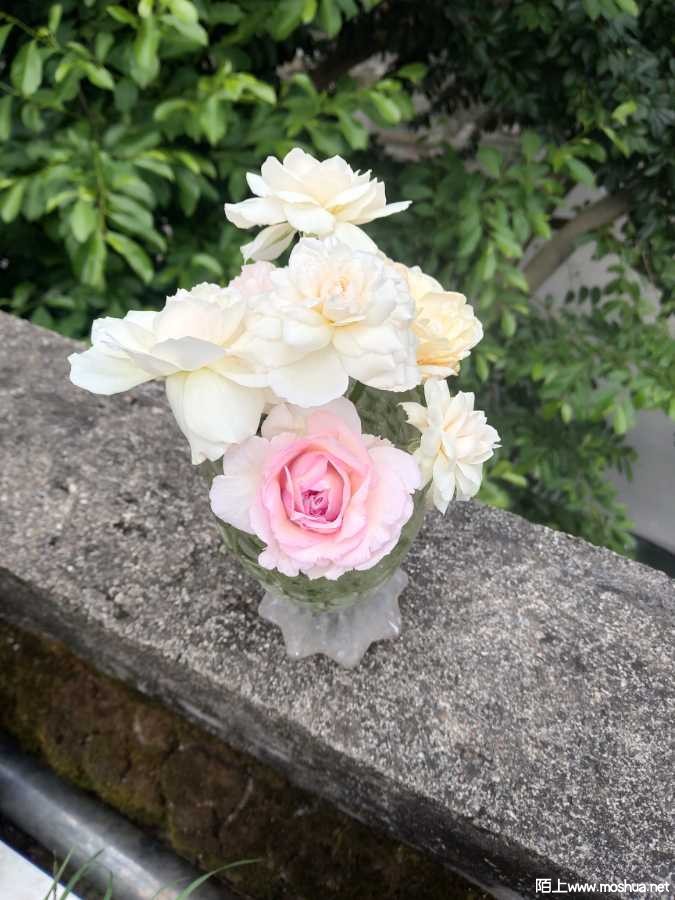 IMG_20210911_154515.jpg