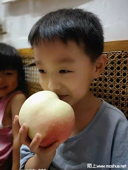 55555 ����.jpg