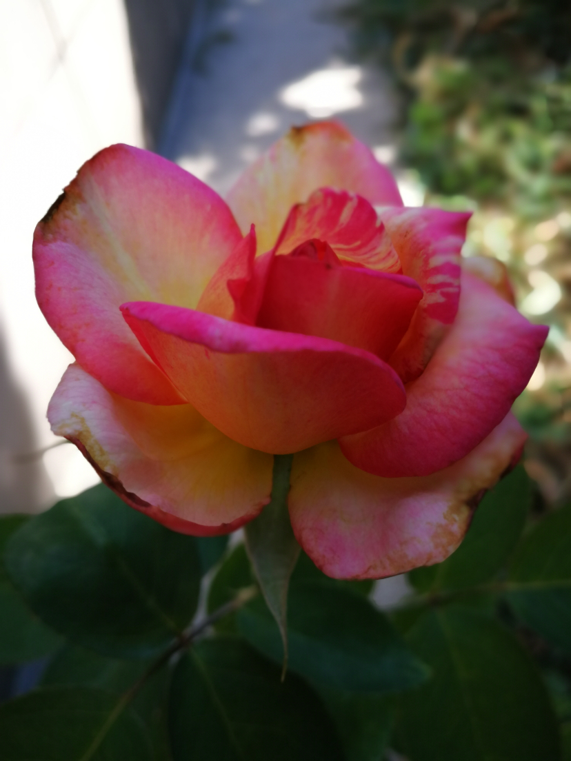 IMG_20210915_100041.jpg