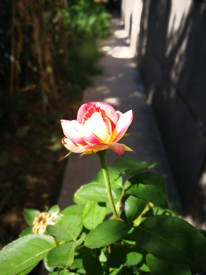 IMG_20210915_100236.jpg