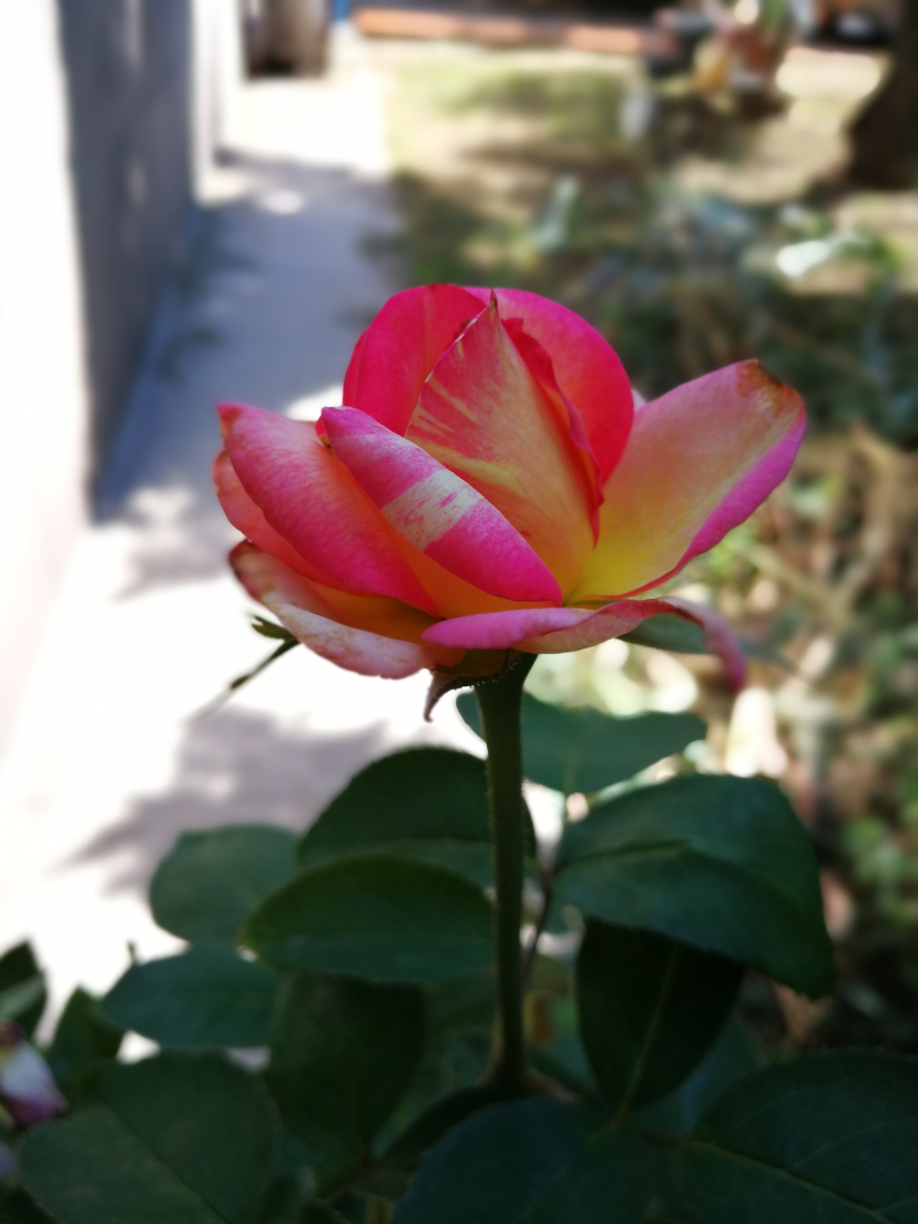 IMG_20210915_100150.jpg