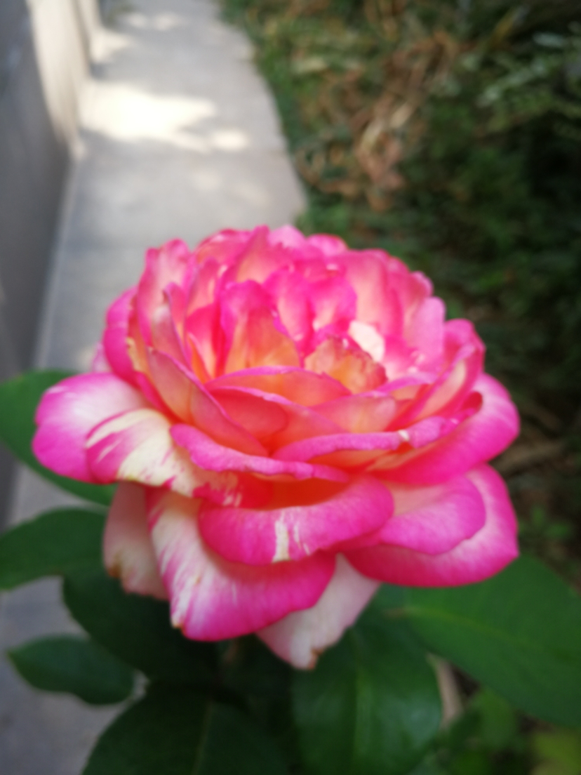 IMG_20210916_132010.jpg