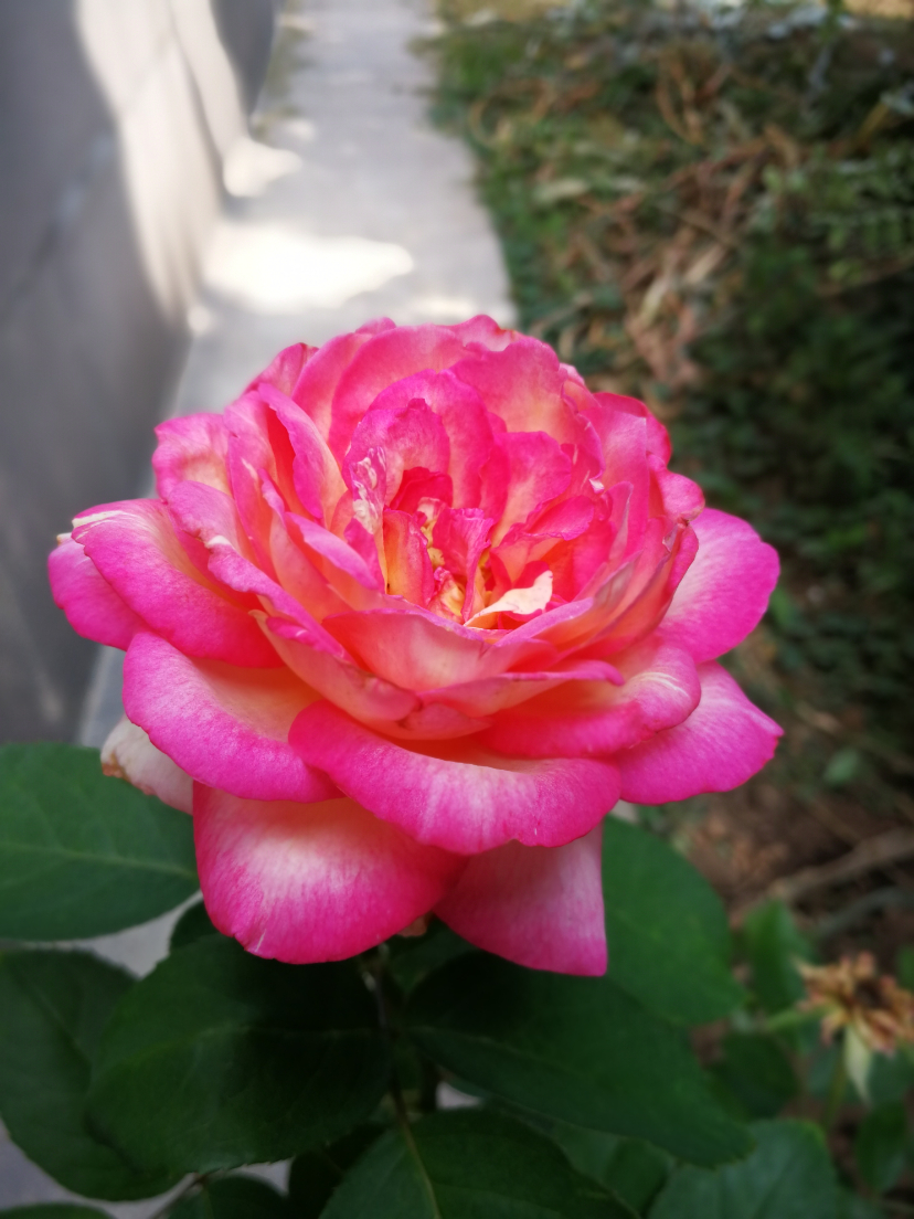 IMG_20210916_132111.jpg