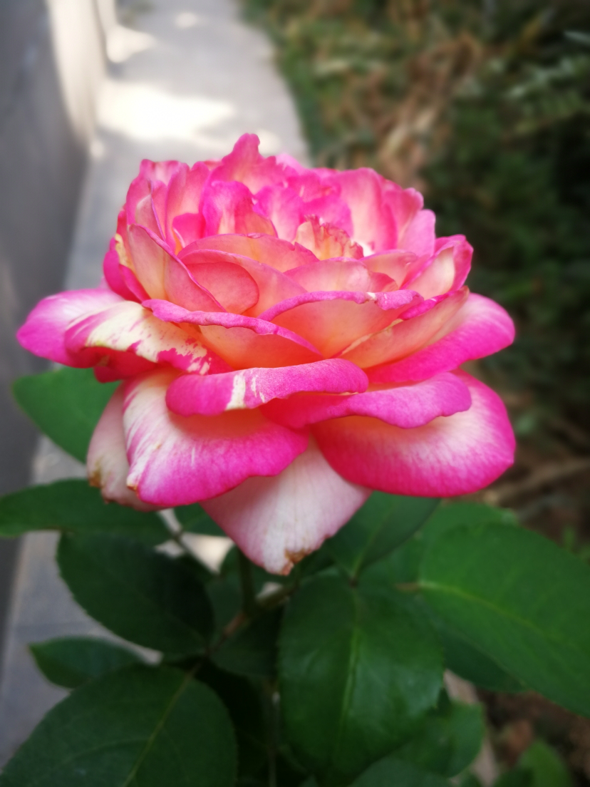 IMG_20210916_132017.jpg