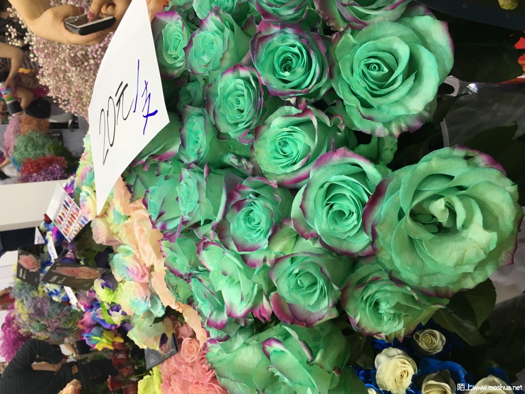 18-05-12 12-03-38 6111.jpg