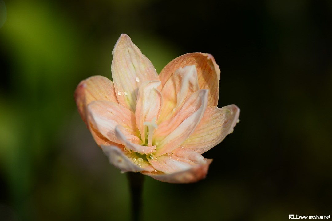 DSC_1388.JPG