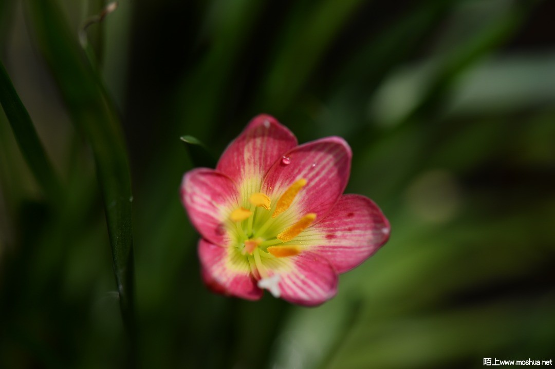 DSC_1392.JPG