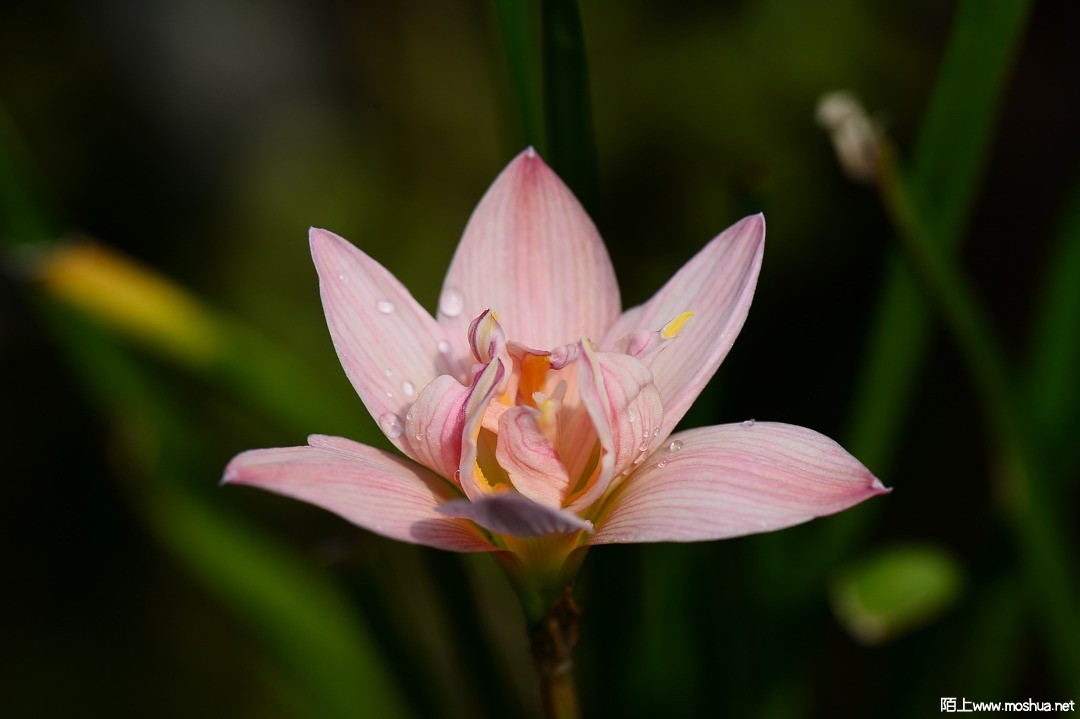 DSC_1395.JPG