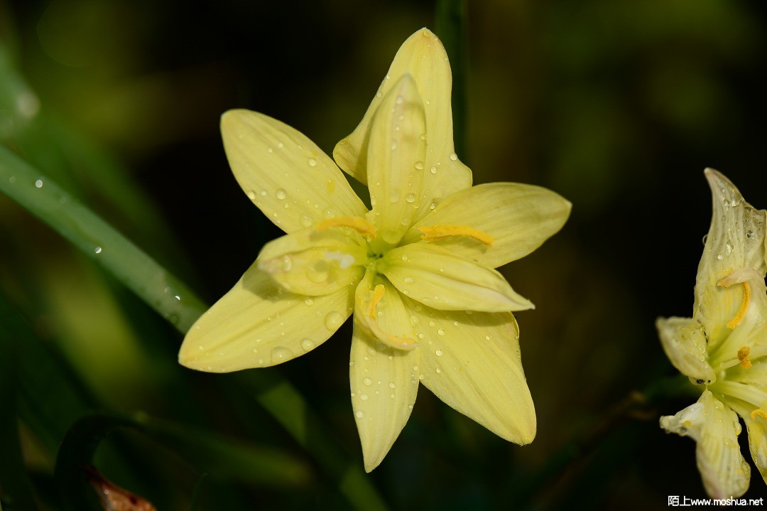 DSC_1398.JPG