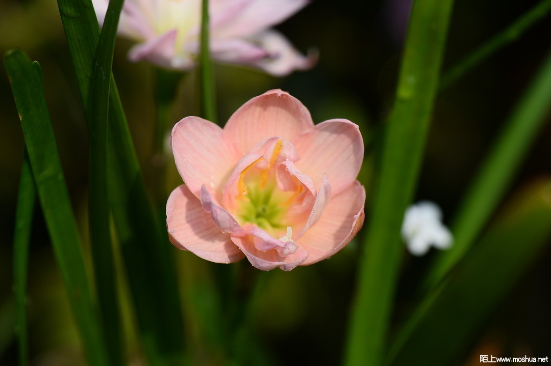 DSC_1400.JPG