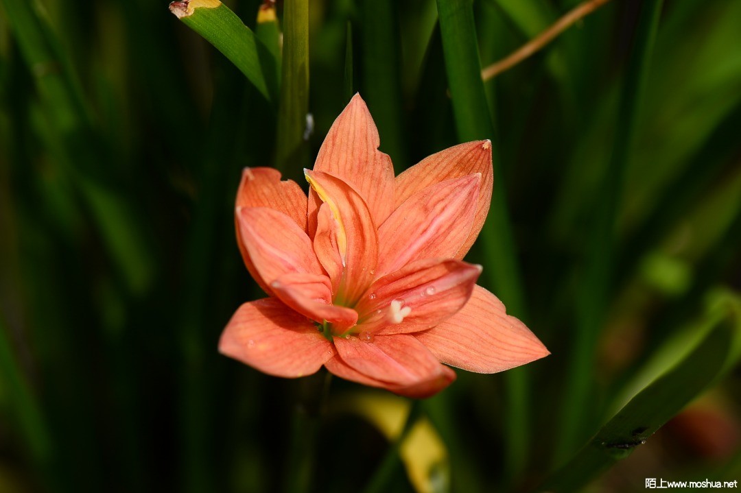 DSC_1404.JPG