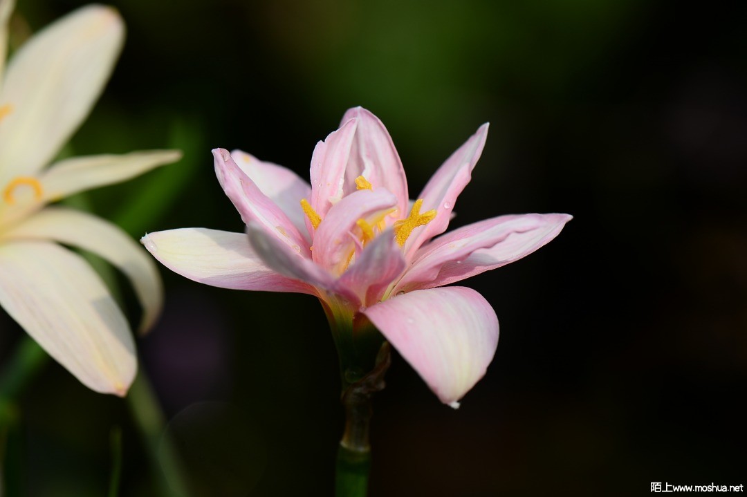DSC_1407.JPG