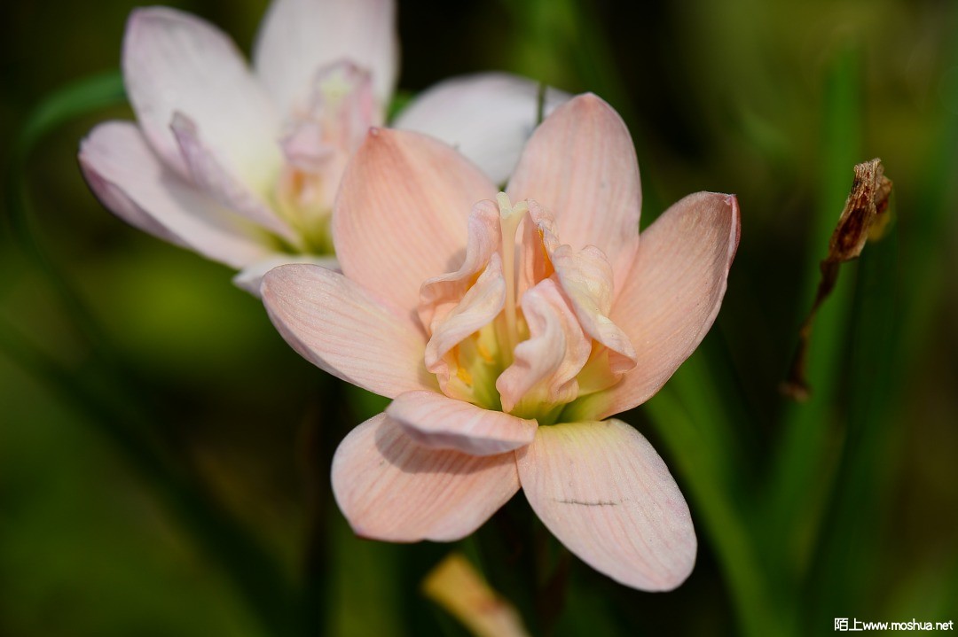 DSC_1410.JPG