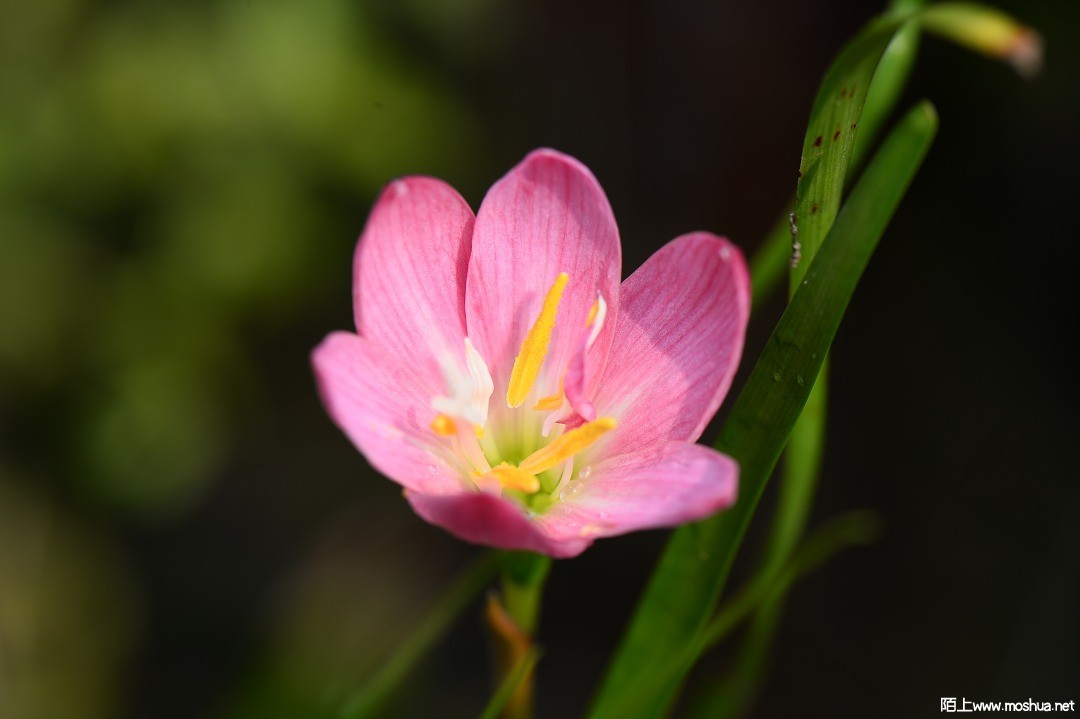 DSC_1412.JPG