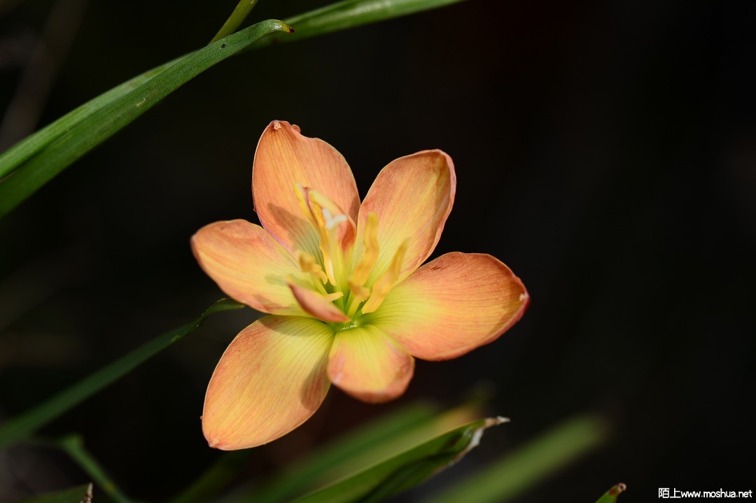 DSC_1419.JPG