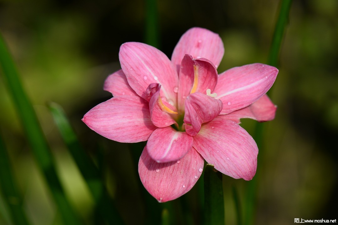 DSC_1423.JPG