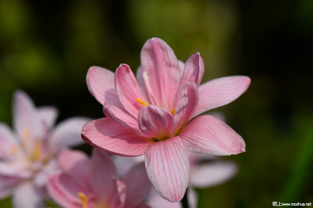 DSC_1428.JPG