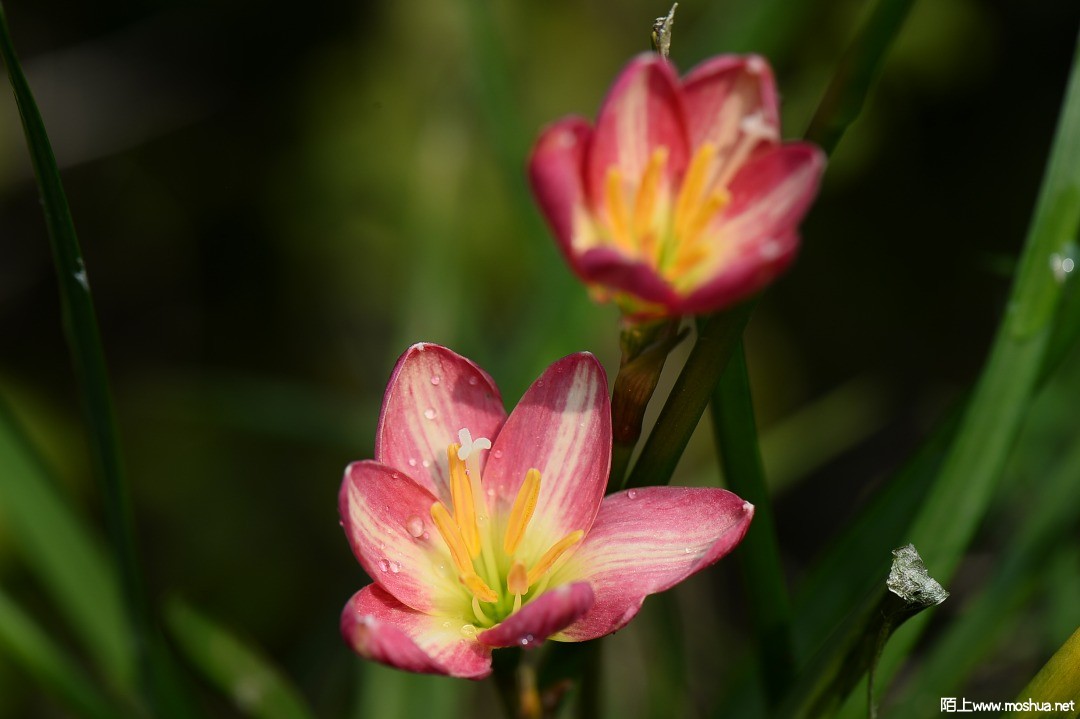 DSC_1431.JPG