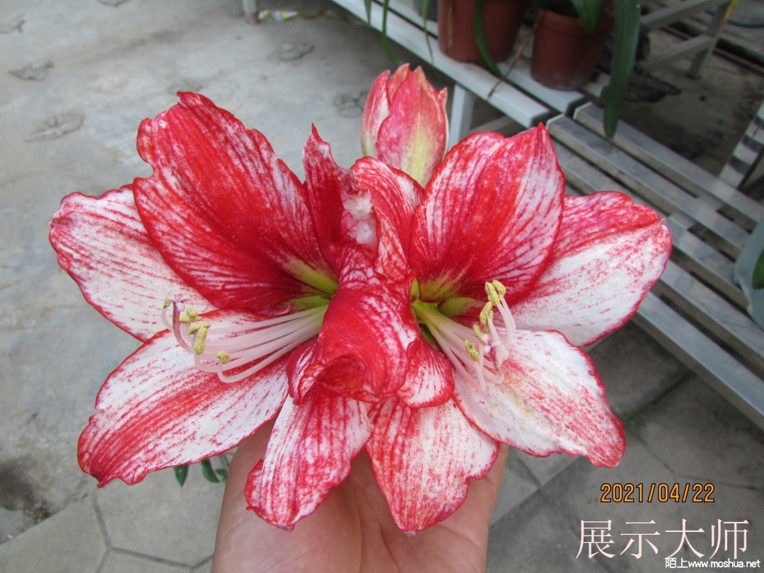 չʾ��ʦ20210422.JPG