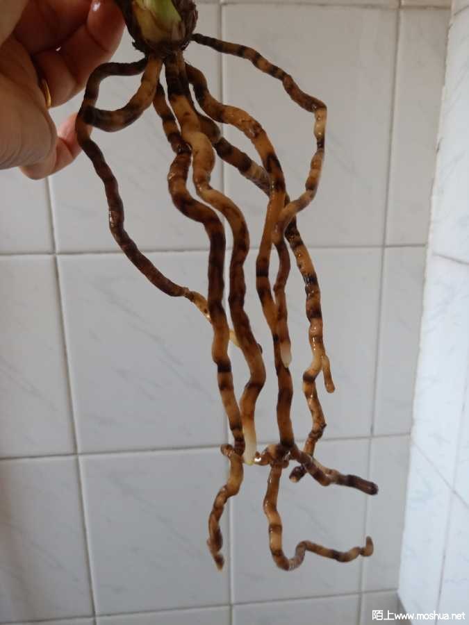 IMG20211001144744.jpg