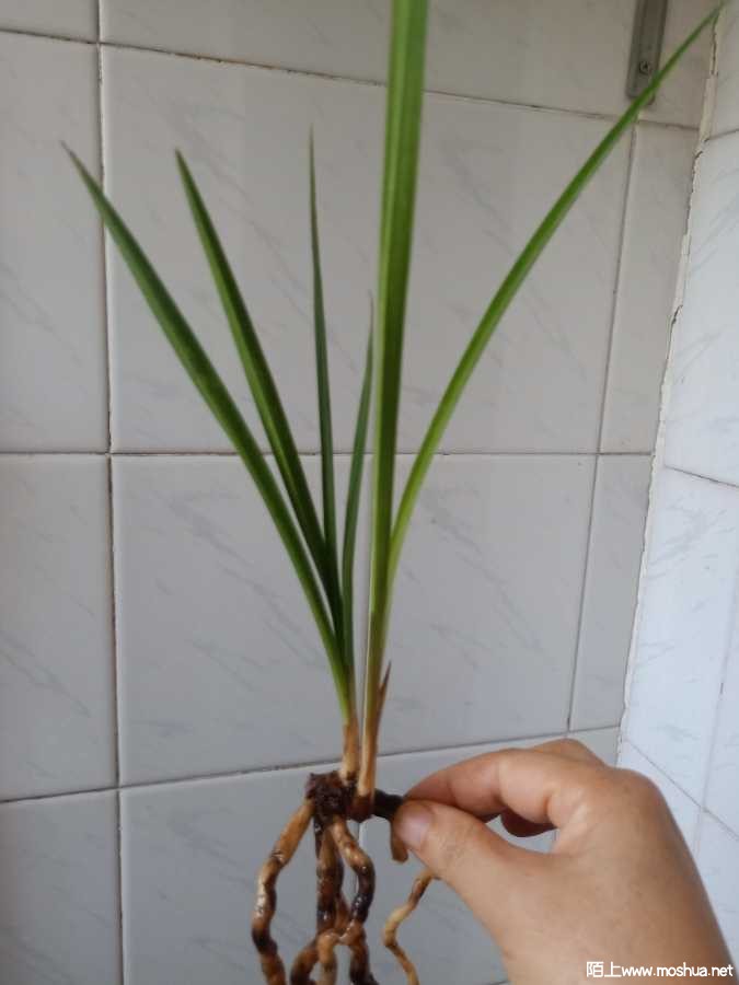 IMG20211001144839.jpg