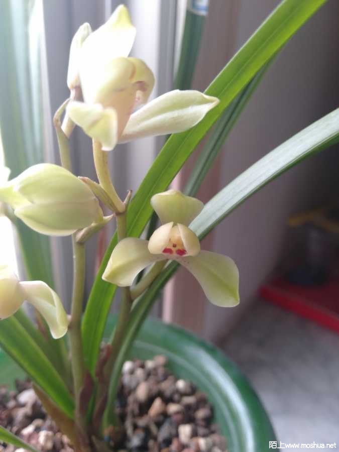 IMG20190723092032.jpg
