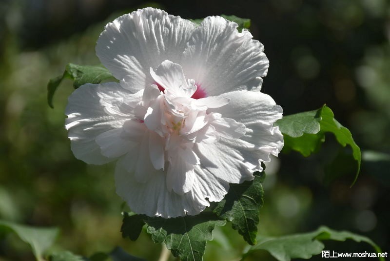 DSC_00020002.JPG
