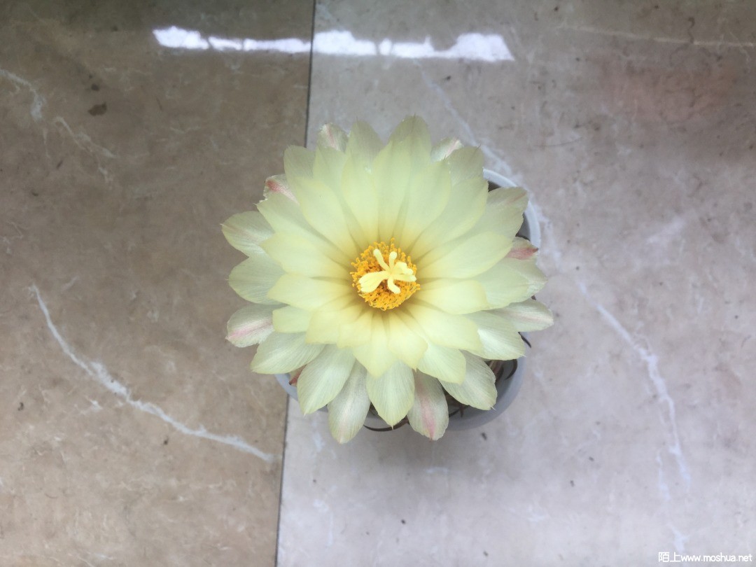 2F8E6561-D364-44BF-A270-5F2438D22BDF.jpeg