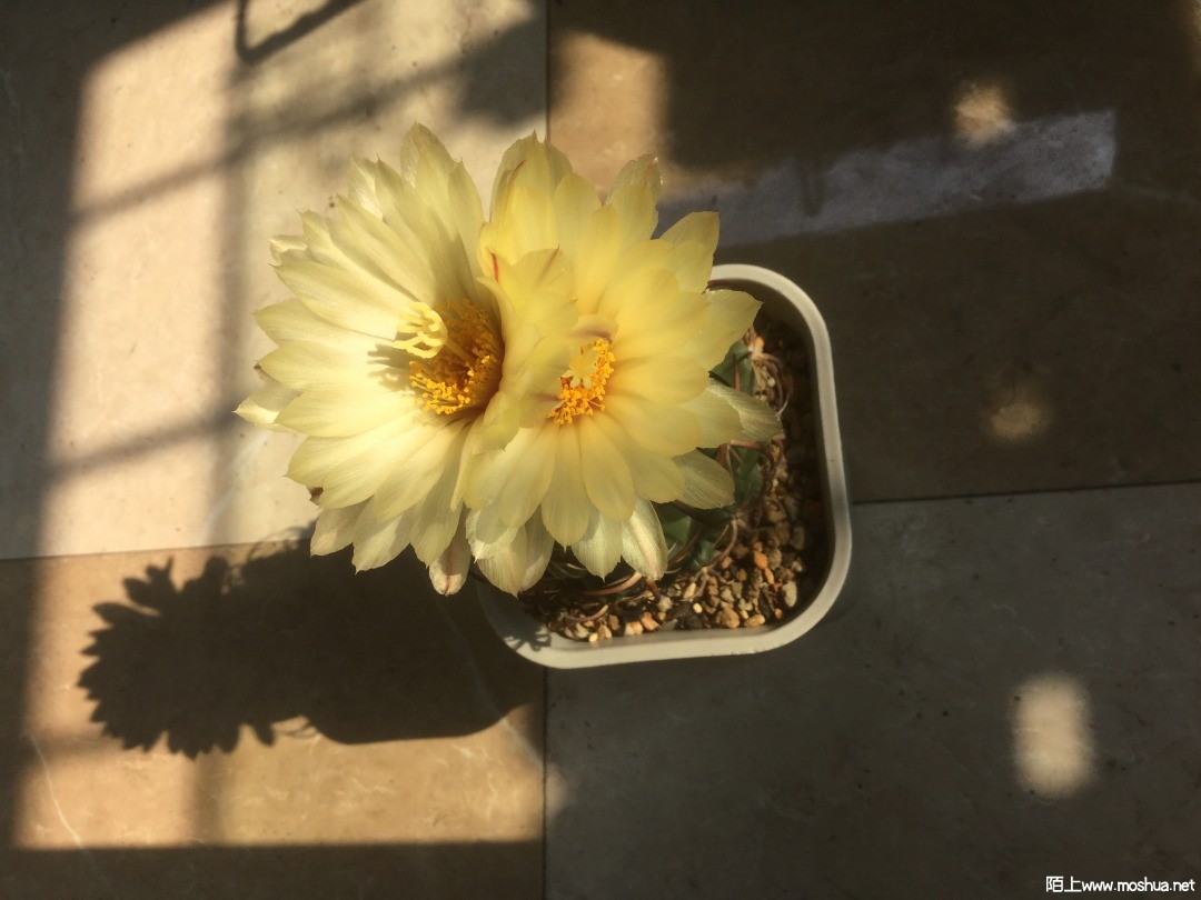 B26B42F8-F53F-41B9-B08F-05642A3656B1.jpeg