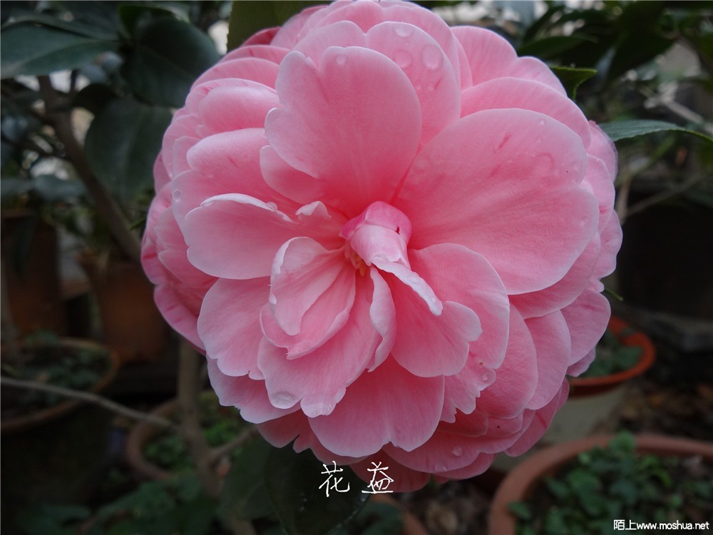 DSC05213.jpg