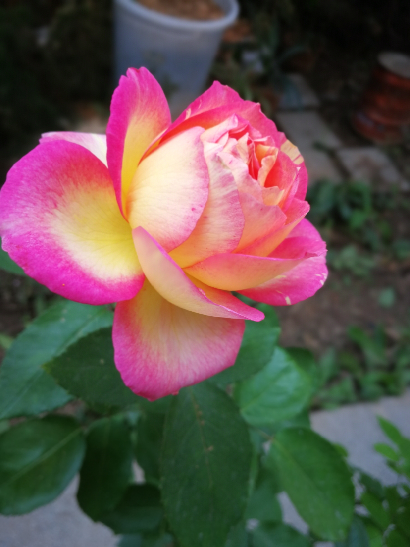IMG_20211025_110331.jpg