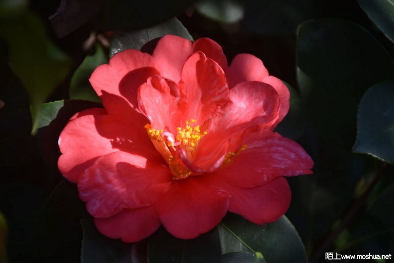 DSC_00010001.JPG