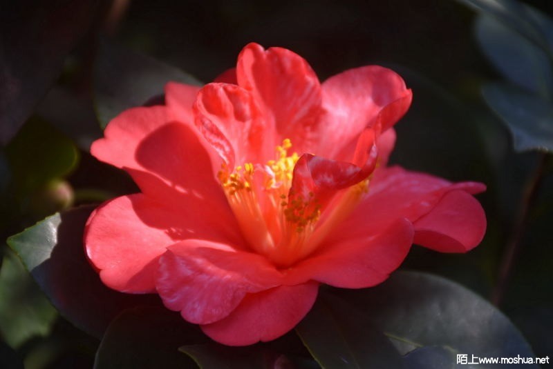 DSC_00100010.JPG