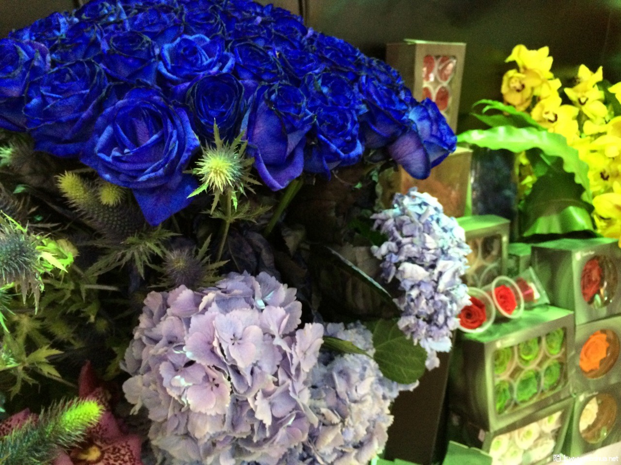 2014-04-25 165948.jpg