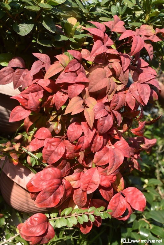 DSC_01090109.JPG
