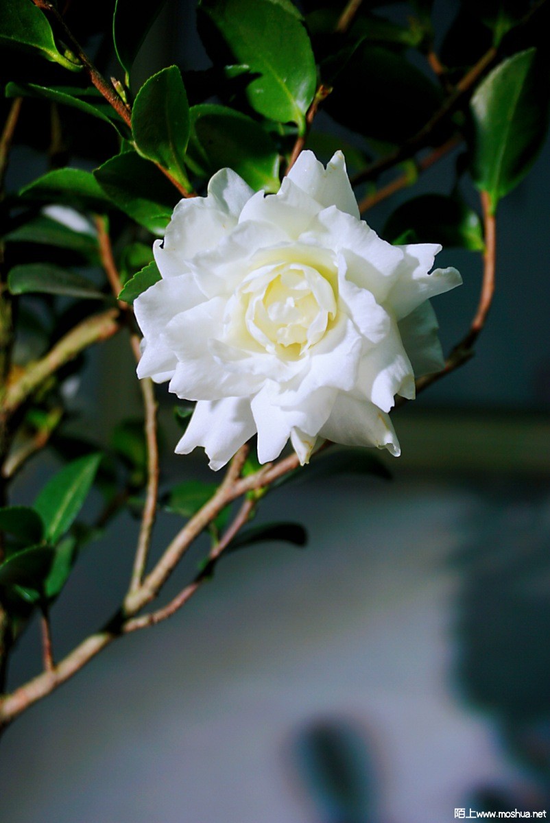 7D7BFAD5-DB35-49E6-A27B-6A55042F3910.jpeg