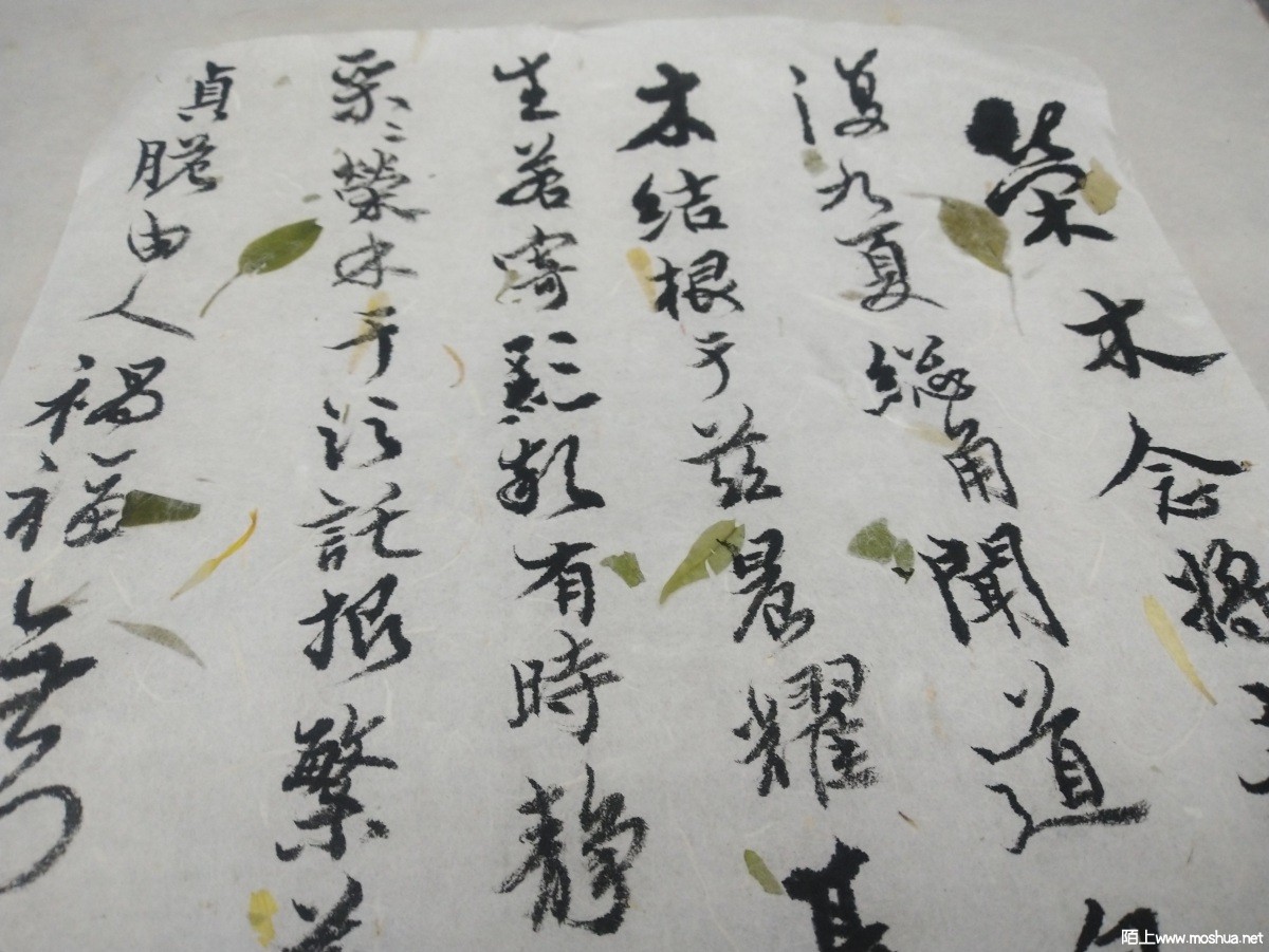 IMG_20211216_233149.jpg