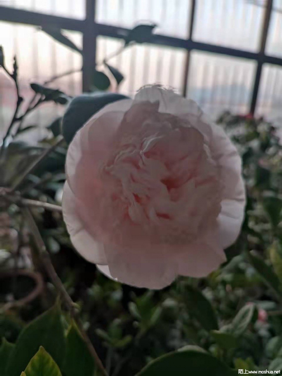 ΢��ͼƬ_20211222193454.jpg
