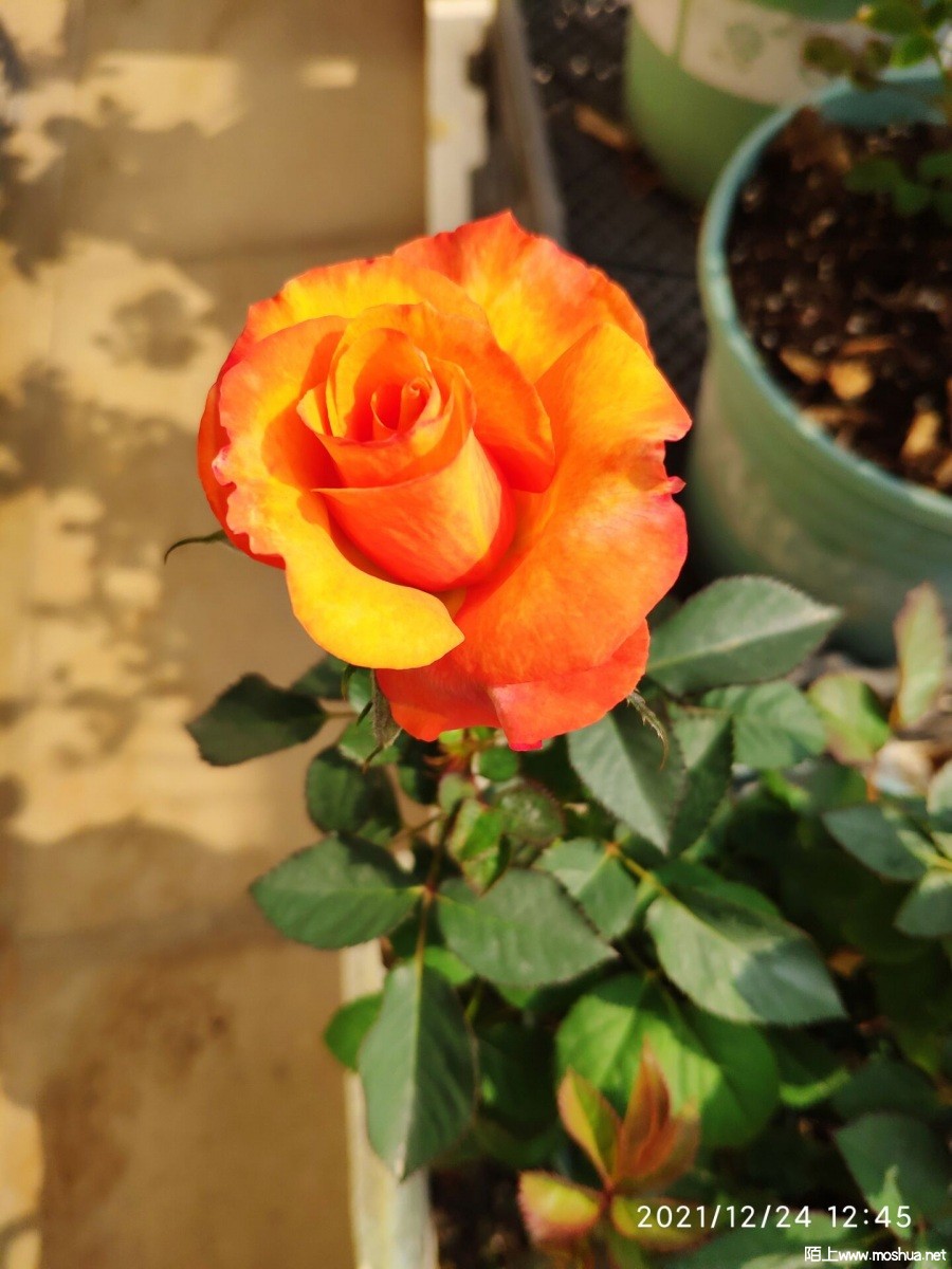 2EE2519AB9EFFC990A100D3D62770E40.jpg