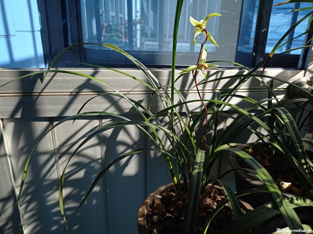 ΢��ͼƬ_20211224223347.jpg