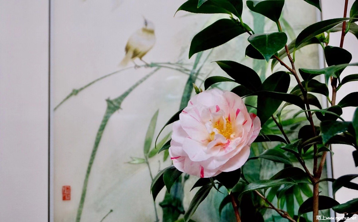 3E06E5FF-22AF-43C9-A91B-F414B4001114.jpeg