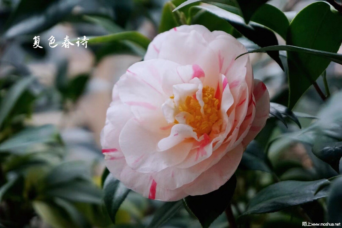 31982CE5-7FD2-489C-AC1D-B7502DB22806.jpeg