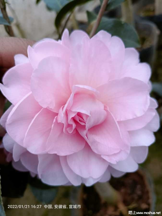 IMG20220121162739.jpg