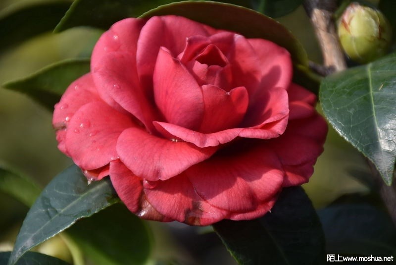 DSC_01140114.JPG