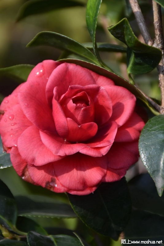 DSC_01190119.JPG