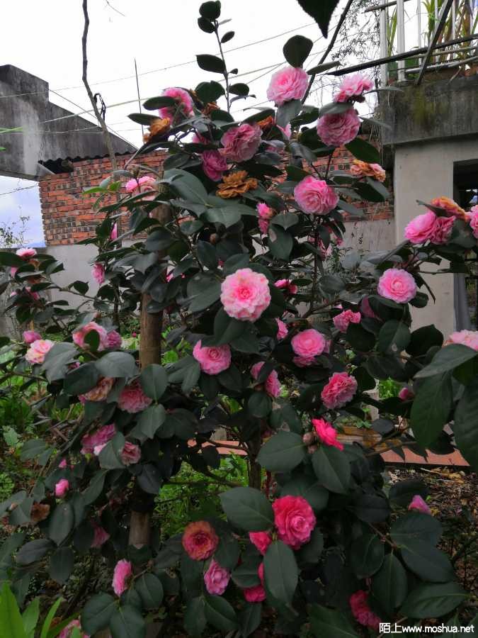 IMG_20220127_162611.jpg